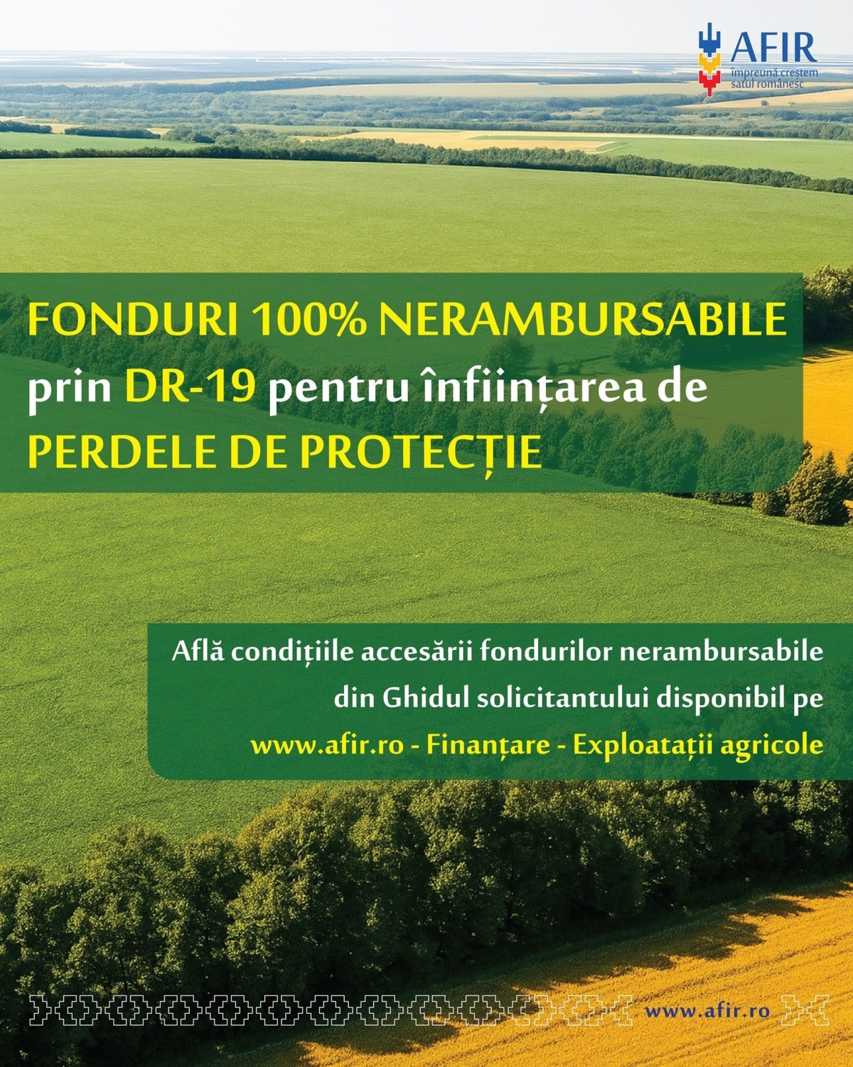 Támogatás védőerdősávok kialakítására